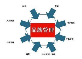 品牌管理 構(gòu)建持久競爭優(yōu)勢的核心
